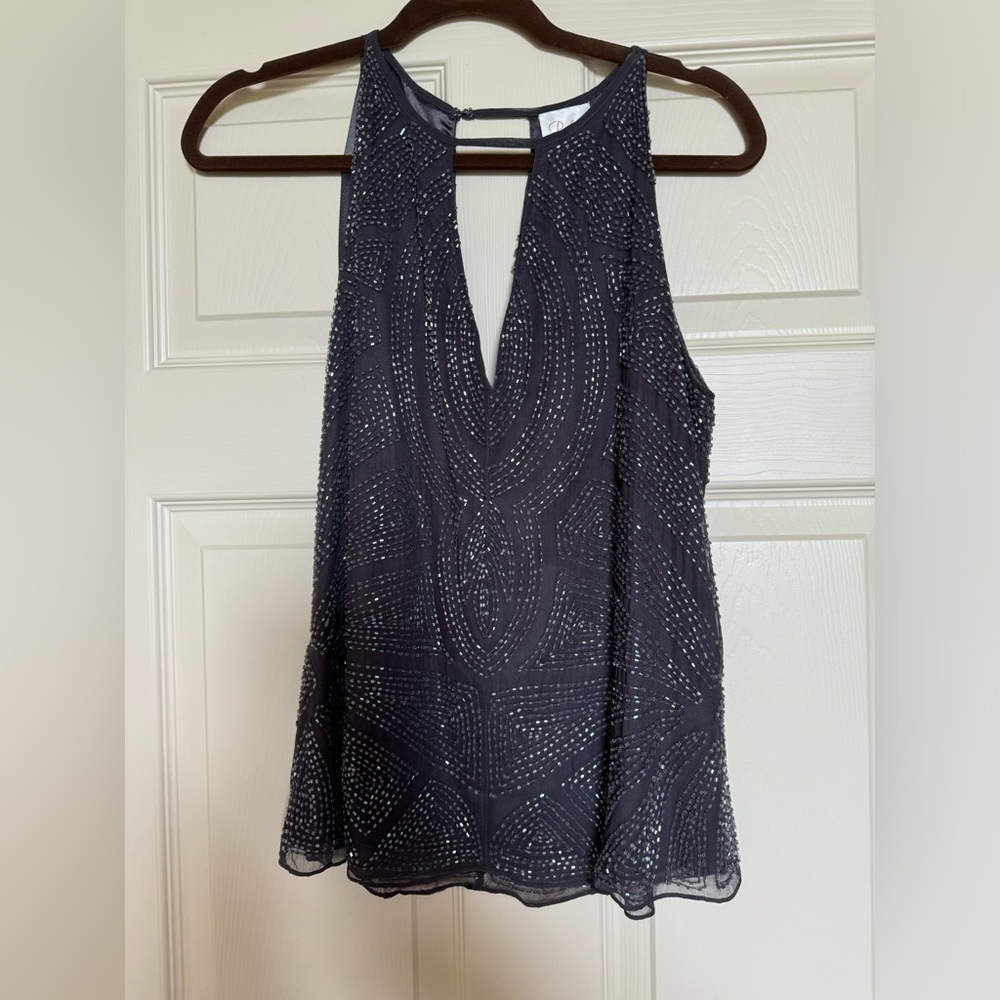 Parker - beaded & silk. Gray top.